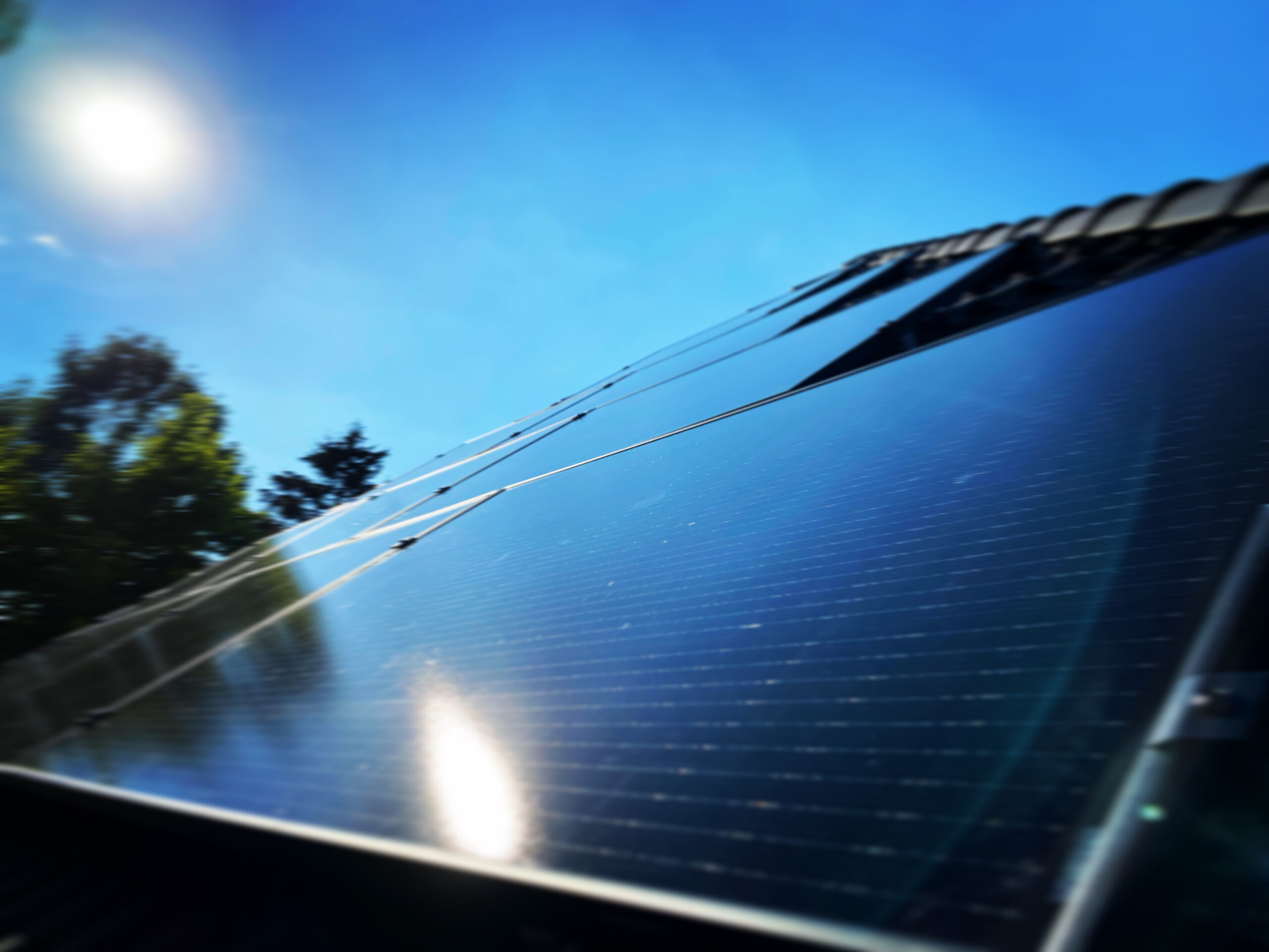 F8004F38-0B0A-41AA-B489-CCA558F4BCED